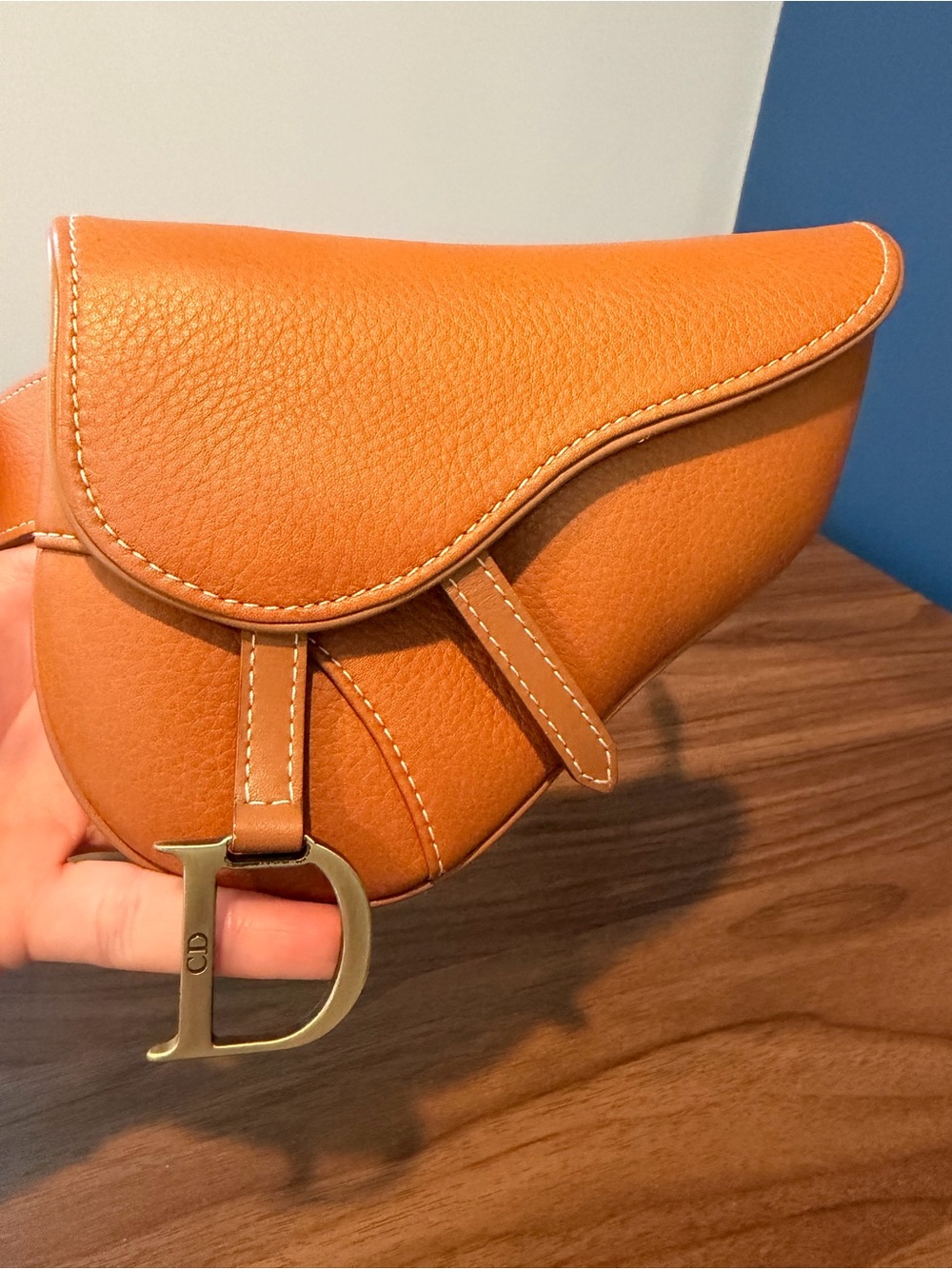 Authentic Dior Saddle belt/bum Bag - Picture 2 of 12